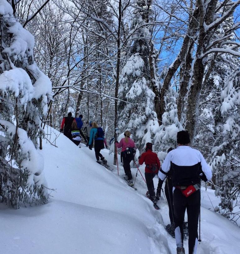 Chalets Alpins - 52 Chemin Des Skieurs Стоунхем Екстериор снимка